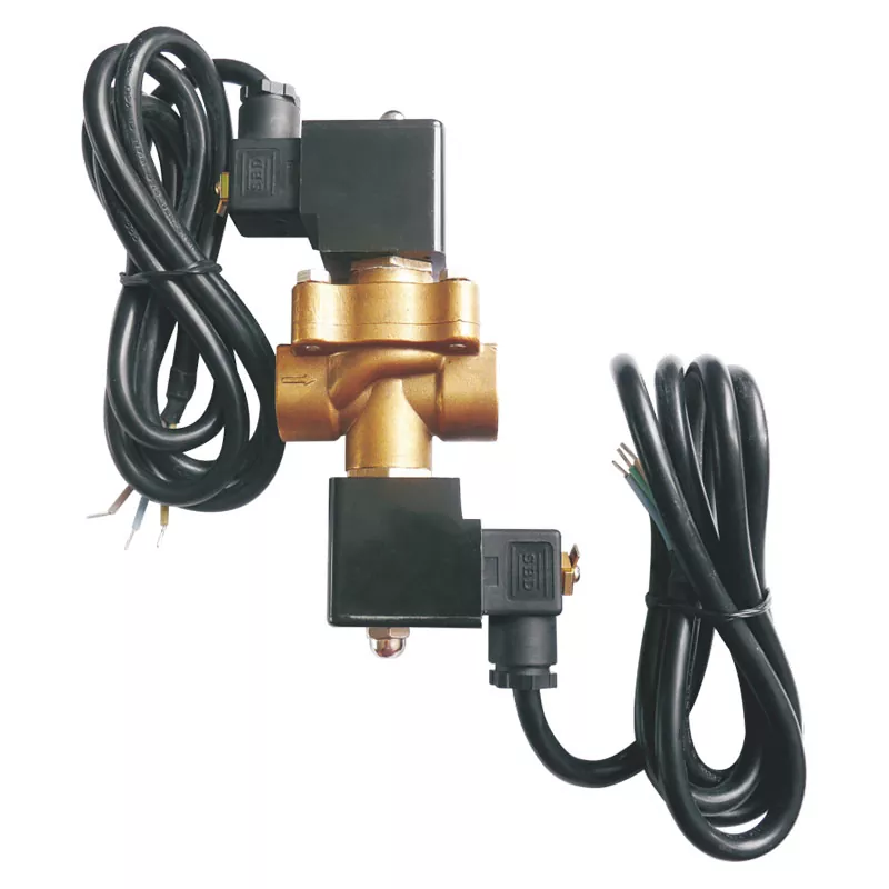 Van điện từ bộ phân phối Dual dòng chảy LPG